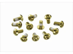 Bult - För Skivbroms - Fram/Bak - 12 St - Guld